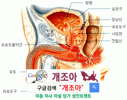 위상기하 오르가즘의 실체(하) - 남성멀티오르가즘을 위한 요도자위 이미지 #1