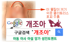 클리토리스 애무 완전정복 1탄 이미지 #4