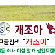 https://dogjoa81.net/data/file/study/thumb-15916620204625_80x80.png